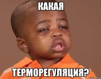 Какая Терморегуляция?