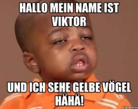 Hallo mein Name ist viktor Und ich sehe gelbe vögel hähä!