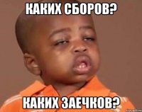 Каких сборов? Каких заечков?