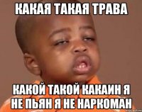 какая такая трава какой такой какаин я не пьян я не наркоман