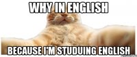 why in english because I'm studuing English