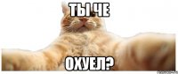 ты че охуел?