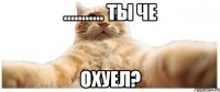 ........... ты че охуел?