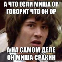 а что если миша ор говорит что он ор а на самом деле он миша сракин