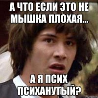 а что если это не мышка плохая... а я псих психанутый?