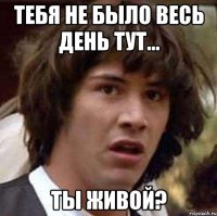 тебя не было весь день тут... ты живой?