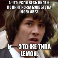 А что, если весь кипеж поднят из-за буквы L на моей аве? L — это же типа Lemon.