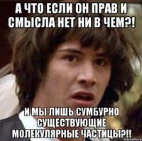 а что если он прав и смысла нет ни в чем?! и мы лишь сумбурно существующие молекулярные частицы?!!