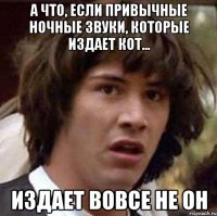 А что, если привычные ночные звуки, которые издает кот... издает вовсе не он