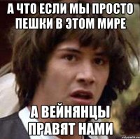 а что если мы просто пешки в этом мире а вейнянцы правят нами