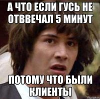 А что если гусь не отввечал 5 минут Потому что были клиенты