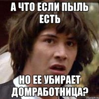 а что если пыль есть но ее убирает домработница?