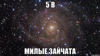 5 в милые зайчата