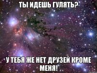 Ты идешь гулять? У тебя же нет друзей кроме меня!