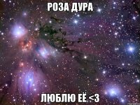 Роза дура Люблю её <3