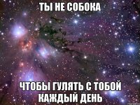 ТЫ НЕ СОБОКА ЧТОБЫ ГУЛЯТЬ С ТОБОЙ КАЖДЫЙ ДЕНЬ