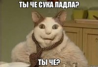 ТЫ ЧЕ СУКА ПАДЛА? ТЫ ЧЕ?