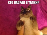 КТО НАСРАЛ В ТАПКИ? 