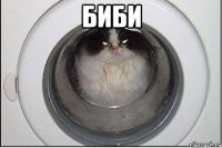 биби 