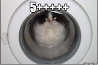 5+++++ 