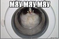 мяу мяу мяу 