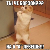 ТЫ ЧЕ БОРЗОЙ??? НА 6 "А" ЛЕЗЕШЬ!!!