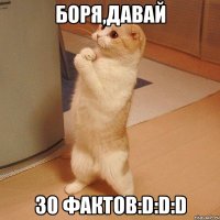 Боря,давай 30 фактов:D:D:D