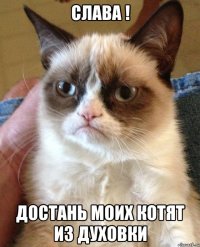 Слава ! Достань моих котят из духовки