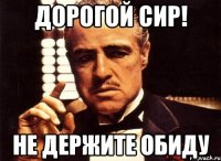 Дорогой Сир! Не держите обиду