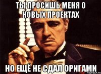 ты просишь меня о новых проектах но ещё не сдал оригами