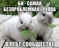 БИ - самая безпроблемная группа В ЛГБТ сообществе