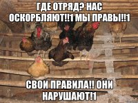 Где отряд? нас оскорбляют!!1 мы правы!!1 Свои правила!! они нарушают!1