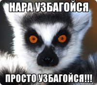 Нара узбагойся Просто УЗБАГОЙСЯ!!!