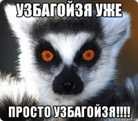 узбагойзя уже просто узбагойзя!!!!