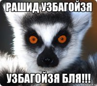 рашид узбагойзя узбагойзя бля!!!