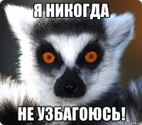 Я никогда не узбагоюсь!