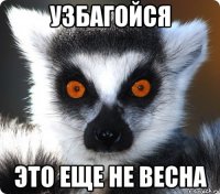 Узбагойся Это еще не весна