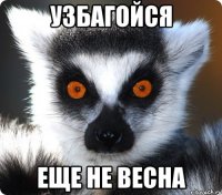 Узбагойся еще не весна