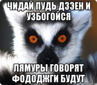 чИдай пудь дзэен и узбогойся Лямуры говорят фододжги будут