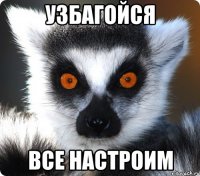 Узбагойся Все настроим