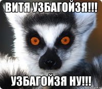 Витя узбагойзя!!! Узбагойзя ну!!!