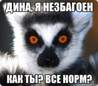 Дина, я незбагоен как ты? все норм?