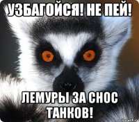 УЗБАГОЙСЯ! НЕ ПЕЙ! ЛЕМУРЫ ЗА СНОС ТАНКОВ!