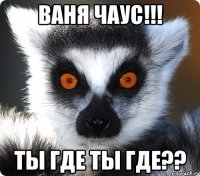 ВАНЯ ЧАУС!!! ТЫ ГДЕ ТЫ ГДЕ??