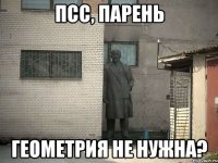 Псс, парень Геометрия не нужна?