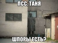 псс, Таня шпоры есть?