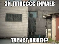 Эй, пппсссс Гимаев турист нужен?