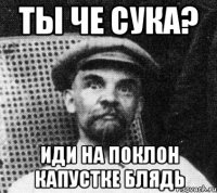 ты че сука? иди на поклон капустке блядь