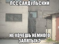 Псс,Сандульский Не хочешь немного запятых ?