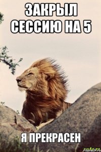 Закрыл сессию на 5 